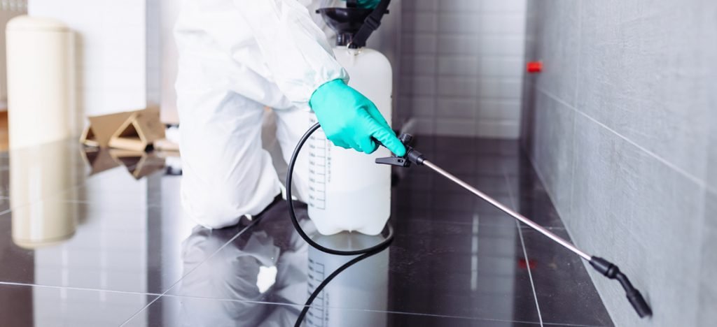 CONTROL DE PLAGAS EN CADIZ JEREZ EL PUERTO SANLUCAR CHICLANA 2018