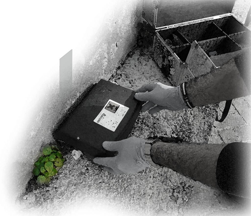 Emplazamiento de cebos para ratas y ratones. Desratización