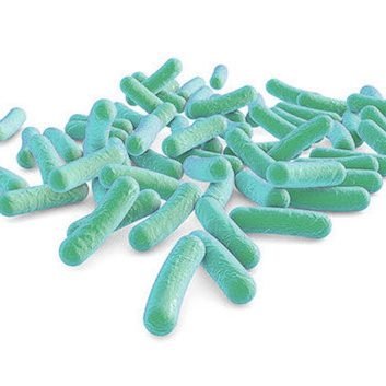 CONTROL Y PREVENCION DE LEGIONELLA (LEGIONELOSIS) DEINTESA LEGIONELLA (LEGIONELLOSIS) BATERIA