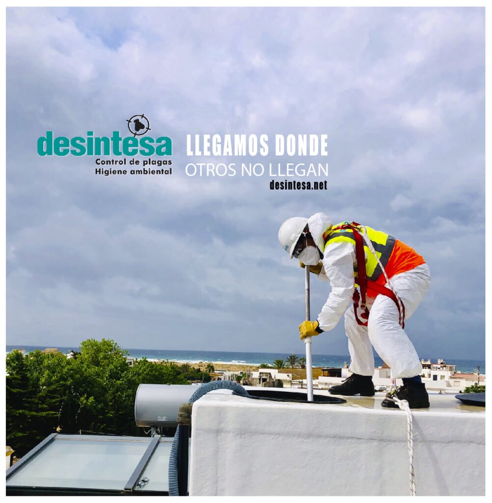 desinfecciones de depositos legionella