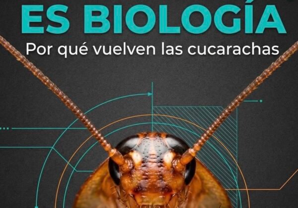 eliminar cucarachas desintesa cadiz